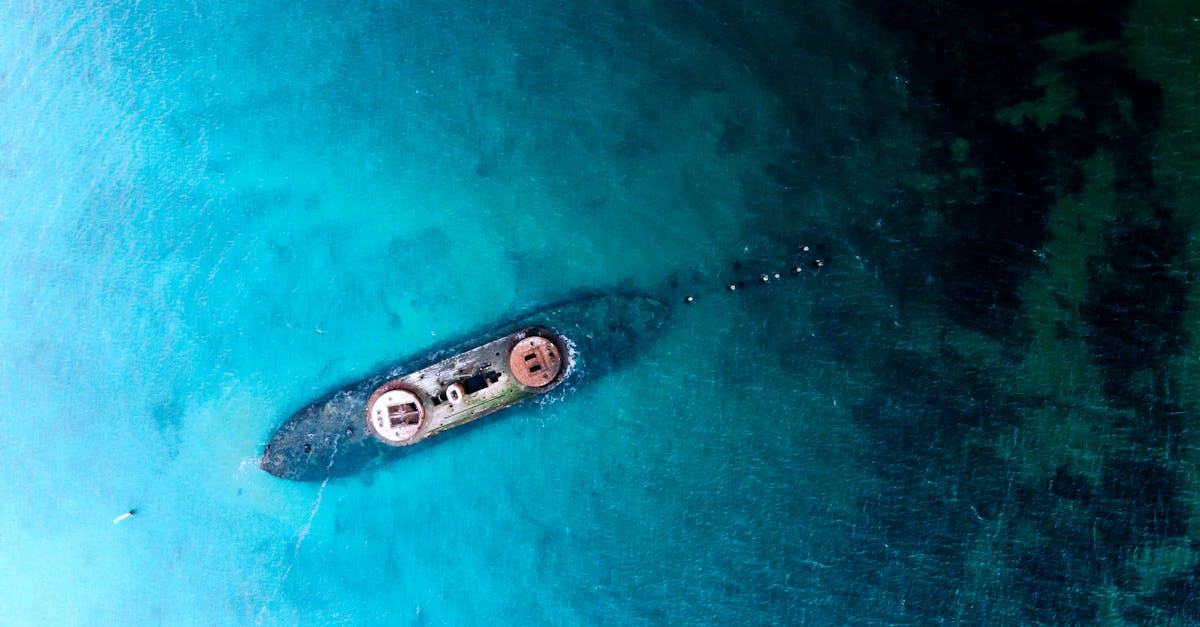 Colour Combinations and Aesthetics in Flake Epoxy Flooring