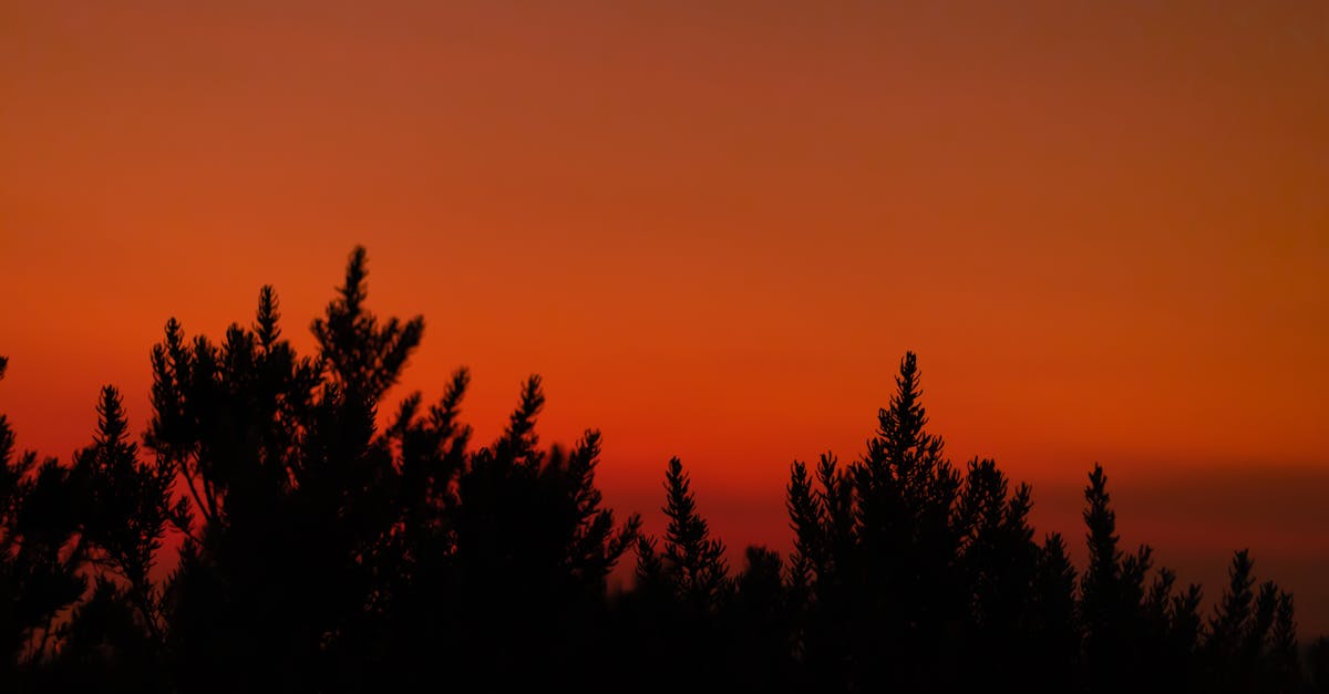 Top Equipment Recommendations for Epoxy Flooring Projects